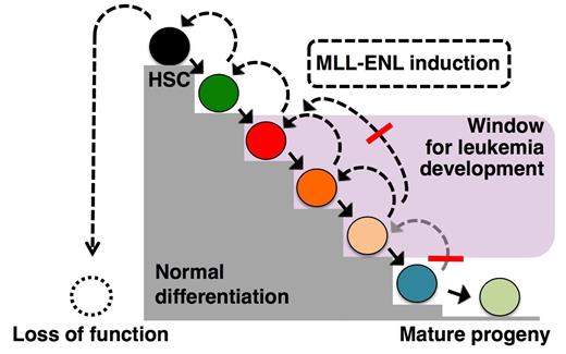 Figure 1. Graphical abstract
