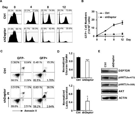 Figure 2. DEPTOR is required for T-ALL cell proliferation, survival and glucose metabolism. In HPB-ALL cells, DEPTORdepletion inhibited cell proliferation (A, B), enhanced cell apoptosis (C), reduced the rates of glucose metabolism (D) and attenuated AKT phosphorylation (E).