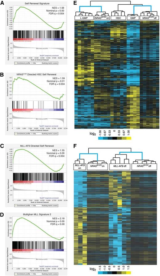Figure 2. Oncogene withdrawal results in loss of leukemia self-renewal gene-expression signatures. (A-D) GSEA analysis reveals loss of previously published gene-expression signatures. (A) The Krivtsov et al leukemia self-renewal gene-expression signature which was derived by identifying a set of genes common to self-renewing hematopoietic subsets (L-GMPs and HSCs).14 (B) The NRASG12D-directed nonleukemic HSC self-renewal signature.9 (C) The MLL-AF9–directed leukemia self-renewal gene-expression program.16 (D) The MLL fusion protein signature of primary human leukemias.23 (E) NRASG12V-On and -off gene-expression data from our study and self-renewing (HSC and L-GMP) and non–self-renewing (GMP) expression data from the Krivtsov et al14 study were compared. Each individual data set was independently transformed relative to the average value for the data set and both data sets were then merged. The probe sets of the self-renewing gene-expression signature defined by Krivtsov et al14 were used for unsupervised, 2-dimensional, hierarchical clustering of these merged data sets. (F) NRASG12V-On and -Off samples from our study and MLL-AF9-On and -Off samples from Zuber et al16 were independently transformed relative to the oncogene-on state in each data set and both data sets were then merged. The gene list from the MLL-AF9–directed leukemia self-renewal signature was used for unsupervised, 2-dimensional, hierarchical clustering of these merged data sets.