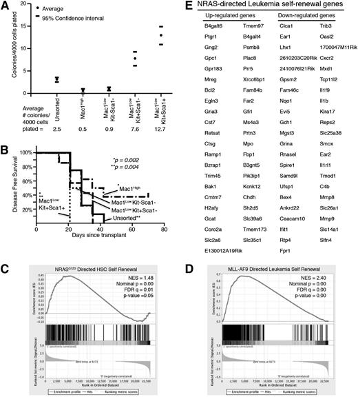Figure 4. LSC-enriched population expresses self-renewal gene-expression signature. Primary leukemia cells harvested from spleens were sorted into immunophenotypic subpopulations (Mac-1High, Mac-1LowKit–Sca-1–, Mac-1LowKit+Sca-1–, and Mac-1LowKit+Sca-1+). (A) Sorted cells were plated in methylcellulose CFAs. The number of colonies that developed per 4000 cells plated is noted. Numbers represent the average of 7 independent experiments. 95% confidence intervals are indicated. (B) 105 sorted cells were intravenously injected into SCID/Beige mice. Disease-free survival is indicated. Each group consisted of 7 or 8 mice. P values noted reflect comparisons between the (*) Mac1LowKit+Sca1+ vs Mac1High groups and (**) Mac1LowKit+Sca1+ and unsorted groups. (C-E) Cells from each sorted subpopulation were submitted for RNA sequencing. (C) The NRASG12D-directed gene-expression signature specific to self-renewing HSCs9 is enriched in the LSC-enriched subpopulation (Mac-1LowKit+Sca-1+). (D) The MLL-AF9-mediated self-renewal gene-expression signature is enriched in the LSC-enriched subpopulation (Mac-1LowKit+Sca-1+). (E) The NRASG12V leukemia self-renewal signature was derived by identifying the NRASG12V-mediated gene-expression profile that is also present in the LSC-enriched subpopulation.