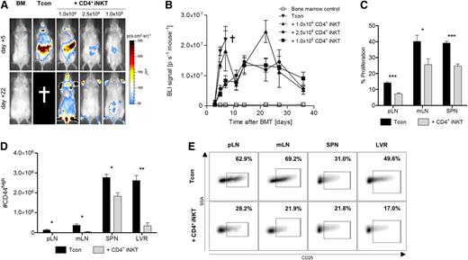 Figure 2. CD4+ iNKT cells inhibit proliferation and activation of alloreactive T cells. (A) Representative bioluminescence images during GVHD initiation (day +5, upper row) and affection of GVHD target sites (day +22, lower row). Bioluminescence signal derived from luc+ Tcons injected on day 0. (B) Bioluminescence signals throughout the experiment. Shown are 5 animals per group from 1 of 2 independent experiments. (C) Graphs depict the percentage of proliferating Thy1.1+ T cells from different secondary lymphoid organs on day +3 as measured by CFSE proliferation assay. Shown is 1 of 3 independent experiments performed in triplicate. (D) Absolute number of live Thy1.1+CD44high T cells re-isolated from BALB/c recipient animals on day +6. Shown is 1 of 2 independent experiments performed in triplicate. (E) Expression of CD25 on live Thy1.1+CD44high T cells. Gates were set on isotype controls. One representative example per group of 3 mice from 1 of 3 independent experiments is shown. †Indicates all animals from the respective group died or needed to be euthanized. Error bars indicate standard error of the mean. LVR, liver; mLN, mesenteric lymph nodes; pLN, peripheral lymph nodes; SPN, spleen. *P ≤ .05; **P ≤ .01; ***P ≤ .001.