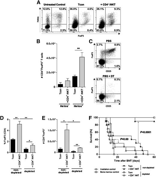 Figure 5. Tregs expand from the Tcon inoculum and are required for protection from GVHD. (A) Expression of FoxP3 and Helios in live splenic Thy1.1+CD4+ T cells. Shown are representative dot plots from 1 of 3 independent experiments. (B) Total numbers of live splenic Helios–FoxP3+ and Helios+FoxP3+ Thy1.1+CD4+ T cells. Shown is 1 of 3 independent experiments. (C) Expression of CD25 and FoxP3 in live CD4+ T cells after intraperitoneal injection of 50 µg⋅kg−1 diphtheria toxin (DT) into FoxP3DTR C57BL/6 donor mice on 2 consecutive days. Shown are representative dot plots from 1 of 2 independent experiments. (D) Relative and (E) absolute numbers of donor Thy1.1+ Tregs re-isolated from BALB/c recipient mice that received either Treg-nondepleted (left bars) or Treg-depleted grafts (right bars), respectively. Population gated on live Thy1.1+CD4+ T cells. Shown are 3 animals per group from 1 of 2 independent experiments. (F) Pooled survival data from 2 independent experiments of BALB/c mice treated with CD4+ iNKT cells in the presence and absence of donor Tregs. Ten animals per group except irradiation control (n = 6). Error bars indicate standard error of the mean. *P ≤ .05; **P ≤ .01.