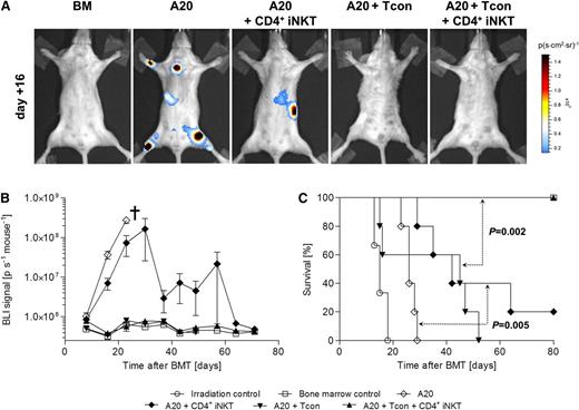 Figure 6. CD4+ iNKT cells preserve Tcon-mediated GVT reactions against A20 lymphoma cells. (A) Tumor growth of luc+ A20 cells was assessed by BLI. Shown are representative bioluminescence images of day +16. (B) Bioluminescence signal intensity and (C) survival of BALB/c mice throughout the whole experiment. Shown is 1 of 2 independent experiments with 5 animals per group except irradiation control (n = 3). †Indicates all animals from the respective group died or needed to be euthanized. Error bars indicate standard error of the mean.