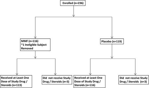 Figure 1. CONSORT flow diagram of the study.
