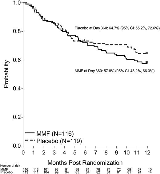 Figure 3. OS by study arm (P = .34).
