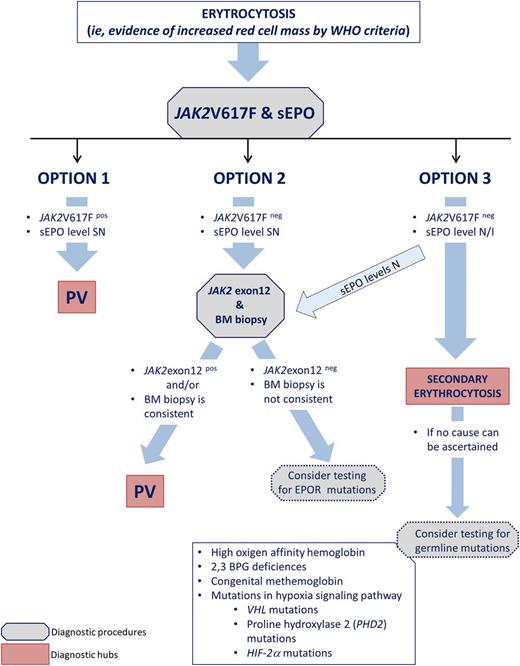 Figure 1. A simplified flowchart for a diagnostic approach to PV that I use for the investigation of erythrocytosis. Diagnostic procedures indicated with a dotted border require a high level of suspicion and, preferably, reasonable evidence of familial history. These genetics tests are complex, costly, and should be performed in a specialized laboratory. BPG, erythrocyte 2,3-biphosphoglycerate; EPO-R, erythropoietin receptor; HIF-2a, hypoxia-inducible factor 2a; N/I, normal/increased; PDH2, prolyl hydroxylase domain protein 2; SN, subnormal; VHL, von Hippel-Lindau.
