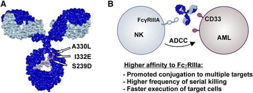 (A) Romain and colleagues generated the CD33-specific Fc-engineered antibody DLE-HuM195 by introducing 3 amino acid exchanges (S239D-A330L-I332E) in the CH2 domain of HuM195. This Fc variant has been described by Lazar et al and results in enhanced Fc affinity to FcγRIIIa and reduced C1q binding activity. (B) The improved FcγRIIIa binding affinity of DLE-HuM195 resulted in stronger ADCC activity compared with the nonengineered counterpart. Using TIMING, the authors were able to demonstrate at the single-cell level that antibody Fc engineering improves frequency and promotes kinetic boosting of serial killing mediated by NK cells. The IgG model structure is based on a protein data bank file kindly provided by Mike Clark (http://www.path.cam.ac.uk/∼mrc7/).