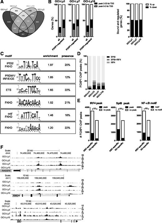 Figure 2. Chromatin immunoprecipitation and sequencing analysis of FOXP1 target genes. To identify direct FOXP1 target genes, we conducted genome-wide mapping of the FOXP1 binding sites in 4 DLBCL cell lines, by chromatin immunoprecipitation with a FOXP1-specific antibody followed by high-throughput sequencing (ChIP-seq). (A) A Venn diagram showing the number of genes in each cell line with a FOXP1 binding peak within 20 kb of the TSS, as determined by ChIP-seq. (B) Percentage of all expressed genes or FOXP1-regulated genes (as determined by microarray analysis) in a cell line that showed a FOXP1 binding peak within 2 kb or 20 kb of the TSS, as determined by ChIP-seq (left), and the percentage of genes being either up- or downregulated, among the genes that are both regulated and bound by FOXP1 within 20 kb of the TSS (right). (C) De novo motif analysis of FOXP1 ChIP-seq peaks in OCI-Ly3 reveals the presence of several enriched motifs in the FOXP1-binding regions. Relative enrichment to control regions and percentage of peaks containing the motif are shown. (D) Overlap of IRF4 ChIP-seq peaks and SpiB ChIP-seq peaks in HBL138 with FOXP1 ChIP-seq peaks in DLBCL cell lines. (E) The number of FOXP1 ChIP-seq peaks that were found exclusively either in both ABC-DLBCL cell lines (OCI-Ly3 and OCI-Ly10) or in both GC-DLBCL cell lines (OCI-Ly1 and OCI-Ly7) and the proportion of these peaks that were also found among IRF4 or SpiB ChIP-seq peaks in HBL138 or that contained a consensus NF-κB binding site. (***P < .001 significant difference between presence of SpiB or IRF4 peaks or a NF-κB consensus motif among ABC-specific vs GC-specific FOXP1 CHIP-seq peaks as determined by χ2 test). (F) Tracks showing the locations of the FOXP1 ChIP-seq peaks in the proximity of the TSS of RASSF6, AIM2, and BIK, some of the proapoptotic genes that are downregulated by FOXP1 in primary human B cells and DLBCL cell lines.