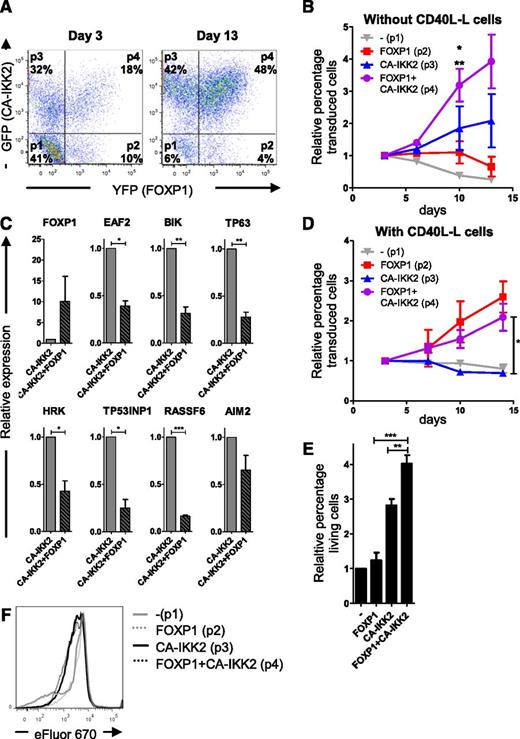 Figure 5. FOXP1 is dependent upon and cooperates with (constitutive) NF-κB activity to promote expansion and survival of human B cells. Memory B cells were sorted from human peripheral blood and cotransduced with FOXP1-IRES-YFP and CA-IKK2-IRES-GFP. Transduced B cells were cultured with IL-21, IL-2, and CD40L-L cells for the first 3 days and subsequently with IL-21 and IL-2, either in the absence (A-C,E-F) or presence (D) of CD40L-L cells. (A) Cells were analyzed by flow cytometry, 3 (left) and 13 (right) days after transduction. Four populations can be identified: YFP single positive (FOXP1 overexpression; p2), GFP single positive (CA-IKK2 overexpression; p3), YFP/GFP double positive (FOXP1 and CA-IKK2 overexpression; p4), and double negative (p1). (B,D) The percentages of the 4 populations within a single unsorted culture, cultured with IL-21 and IL-2 only (B), or with IL21, IL-2, and CD40L-L cells (D), were followed over time by FACS analysis and normalized to the percentage of each population at day 3 after transduction. Mean ± SEM of 3 independent experiments are shown. (B) Significant differences in relative expansion were observed at day 10 after transduction between the FOXP1+CA-IKK2 double-transduced population vs the CA-IKK2 single-transduced population (*P < .05) and the FOXP1 single-transduced population (**P < .01) by repeated-measures analysis of variance (ANOVA) followed by Bonferroni’s multiple comparison test. (D) Significant difference in relative expansion was observed between the FOXP1+CA-IKK2 double-transduced population vs the CA-IKK2 single-transduced population (*P < .05) by repeated-measures ANOVA followed by Bonferroni’s multiple comparison test. (C) Six days after transduction, GFP single-positive and GFP/YFP double-positive cells, cultured in the absence of CD40L (as in panel B), were sorted. Gene expression levels of the proapoptotic genes were analyzed by qRT-PCR. Expression levels were normalized to expression levels in CA-IKK2 single-transduced cells. Mean ± SEM of 3 independent experiments are shown. (1-sample t test, *P < .05, **P < .01, ***P < .001). (E) Six days after transduction, live cells of the 4 separate populations of cotransduced cells were sorted and cultured for 4 to 5 more days, after which the percentage of cells in the forward-scatter/side-scatter live gate was determined by flow cytometry and normalized to the percentage of living cells in the nontransduced population. Mean ± SEM of 3 independent experiments are shown (repeated-measures ANOVA followed by Bonferroni’s multiple comparison test; **P < .01, ***P < .001). (F) Seven days after transduction, cells were labeled with eFluor 670 and cultured for 4 days, after which the eFluor 670 intensity was determined by flow cytometry. Representative graphs of 2 independent experiments are shown.
