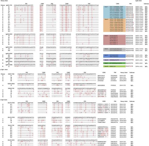 Figure 1. Alignment of the deduced amino acid sequence of all 29 mAbs to their most homologous germ-line genes. Amino acid sequence of (A) the variable H-chain segments and (B) L-chain segments of phage display-derived IgG Fabs (panning round 5) and whole IgG of EBV-transformed switched memory B cells directed against ADAMTS13 generated from the spleens of 2 patients with relapsing acquired TTP. Clone identity: phage display-derived Fabs are indicated by italic letters and numbered with either 1 or 3 when originating from the κ library and 2 or 4 when originating from the λ library. Whole IgGs derived from EBV-transformed switched memory B cells are labeled with capital letters. According to the H-chain CDR3 amino acid sequences, all 29 mAbs are grouped into 8 CDR3 motifs; clones belonging to the same CDR3 motif are colored identically. The differences within 1 CDR3 motif are highlighted in red, dashes indicate missing, and letters indicate the replaced amino acids compared with the first top clone in each motif.