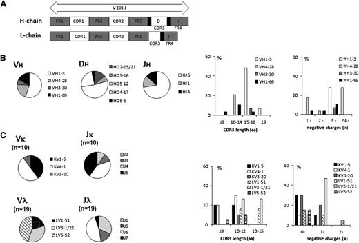 Figure 2. The immunoglobulin gene features of the 29 anti-ADAMTS13 mAbs. (A) Schematic organization of the immunoglobulin V(D)J junction: framework regions FR1 to 4 and CDR1 to 3, with CDR3 being the main antigen-binding site. Sites of random nontemplated nucleotide insertions locus at the V-D and D-J junctions are indicated in black. (B) Pie charts of the composition of the H-chain gene use for the IgVHDHJH segments and the percentage for the CDR3 amino acid length and amount of negatively charged amino acids. (C) Pie charts of the composition of the L-chain gene use for the IgVLJL segments and the percentage for the L-chain CDR3 amino acid length and the amount of negatively charged amino acids.
