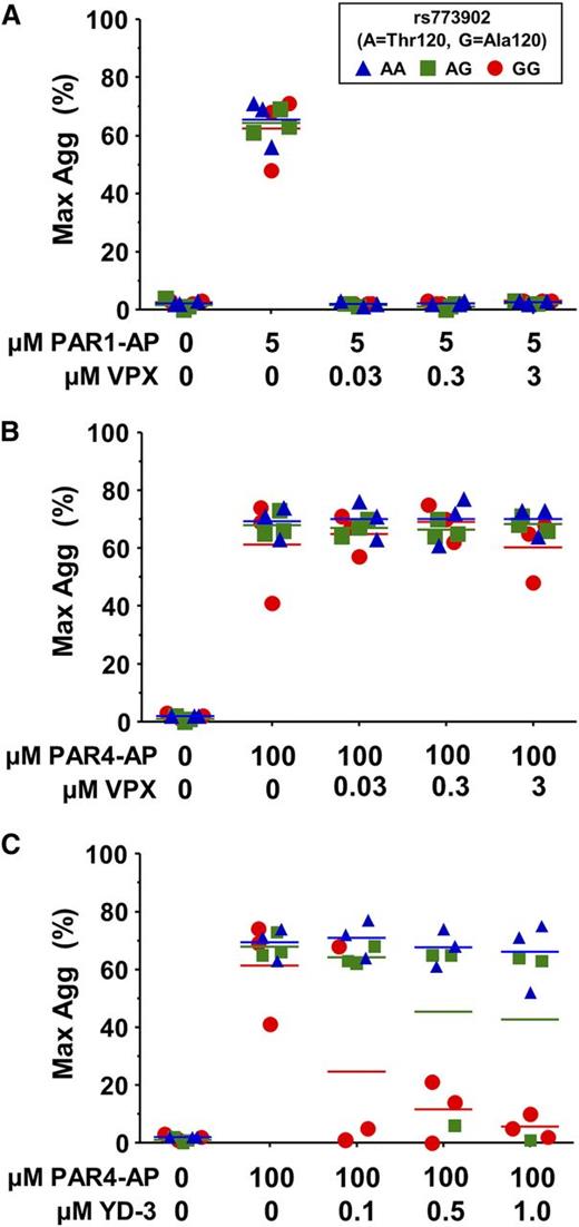 Figure 5. PAR4 variants are differentially susceptible to pharmacological inhibition. (A-C) Platelets from donors genotyped for rs773902 were washed, incubated with the indicated concentrations of vorapaxar (VPX) (A-B) or YD-3 (C), and then stimulated with (A) 5 μM PAR1-AP or (B-C) 100 μM PAR4-AP. Aggregation was measured using light transmission aggregometry. n = 3 each genotype. Horizontal lines indicate mean. P = .02.