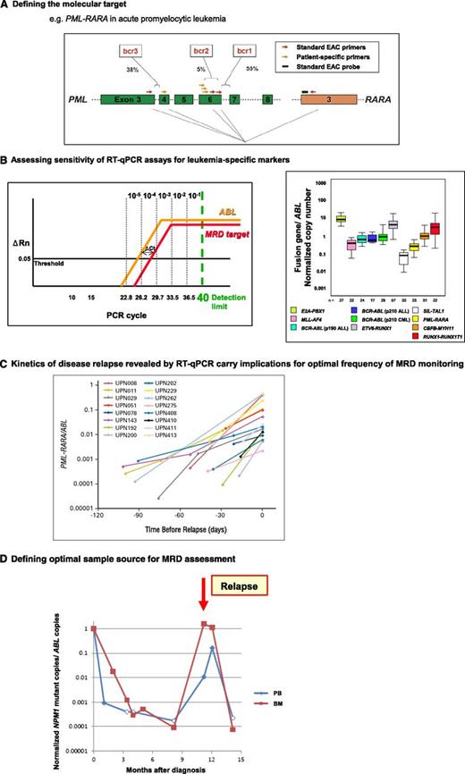 Figure 4. Development of leukemia-specific RT-qPCR assays to track treatment response is dependent upon molecular characterization of diagnostic material to determine the most appropriate assay, with MRD monitoring strategies informed by maximal achievable sensitivity, optimal sample type, and typical kinetics of disease relapse. (A) Analysis of diagnostic material is critical to determine the appropriate assay primer and probe set to detect MRD in any given patient because of heterogeneity in chromosomal breakpoints (eg, PML-RARA, CBFB-MYH11, MLL fusions) or mutation type (NPM1). For example, in ∼5% of acute promyelocytic leukemia cases, the standard EAC assays are not suitable because of occurrence of rarer breakpoints within the PML locus requiring design of patient-specific forward primers to be used in conjunction with the standard EAC probe and reverse primer (both located in RARA).44 Figure panel adapted from Grimwade et al46 with permission. (B) A key determinant of the sensitivity for MRD detection is the relative level of expression of the leukemia-specific transcript (ie, fusion gene, NPM1 mutant) as indicated by comparison with that of an endogenous control gene (eg, ABL). This can be measured as the difference in the number of PCR cycles (ΔCt) to detect fluorescence above background from amplification of the leukemic transcript and the control gene at the threshold (set at 0.05 according to EAC criteria39); see left panel. The detection limit of PCR is taken as 40 cycles (equivalent to ∼1 copy), with 1-log being equivalent to 3.45 cycles, as determined from the slope of the plasmid standard curve. Assuming ABL amplification at cycle threshold (Ct) value of 24, the observed Ct value for amplification of the leukemic target in blasts at diagnosis indicates the maximal theoretical sensitivity for detection of MRD in that particular patient. The Ct value of the MRD target equating with a given level of sensitivity (10−1 to 10−5) is marked based on an ABL Ct value of 24. For example, MRD can be detected at a sensitivity of at least 1 in 104, where ΔCtTarget-ABL is ≤2.2. Detection of MRD at a sensitivity of 1 in 105 is possible when the MRD target is more highly expressed than ABL, with a ΔCt of −1.2. ΔRn, normalized reporter signal (change in fluorescence intensity). Figure panel adapted from Freeman et al26 with permission. Examination of diagnostic BM samples from primary leukemia samples using standardized assays developed within the EAC program demonstrates marked variation in the level of leukemic transcripts both between and within different molecular subsets, which impacts on the sensitivity to detect MRD in any given patient (right panel). Figure adapted from Gabert et al39 with permission. (C) Apart from maximal assay sensitivity, a further parameter to take into account in determining MRD sampling schedules is the kinetic of disease relapse. For example, in APL, the median increment in PML-RARA fusion transcripts is ∼1-log/month. Reproduced from Grimwade et al44 with permission. (D) Parallel tracking of MRD status by RT-qPCR in PB and BM in a patient with NPM1 mutant AML, with filled and unfilled data points indicating that disease transcripts were detectable or undetectable, respectively. For PCR-negative samples, data points are plotted according to the maximal sensitivity afforded by the follow-up sample based on the respective level of ABL control gene expression and taking into account the difference in expression between the NPM1 mutant allele and ABL in leukemic cells at diagnosis (ΔCtNPM1mut-ABL), as described in panel B. In this patient, rapid PCR negativity was achieved in the PB. However, serial BM samples afforded greater sensitivity, revealing that the patient failed to achieve molecular remission after frontline therapy, with relapse preceded by a rapid rise in NPM1 mutant transcripts. The PB MRD assay only converted to PCR positivity at the time of diagnosis of clinical relapse.