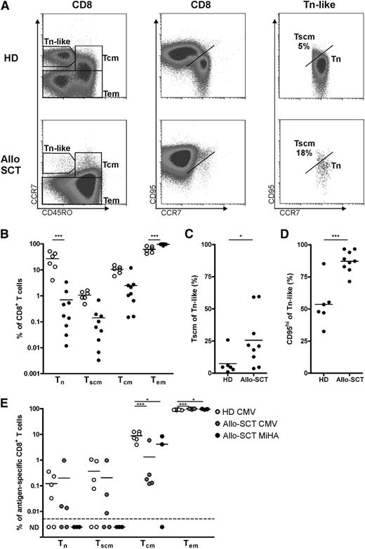 Figure 1. Low CD8+ Tscm in patients after allo-SCT. CD8+ T cells of (○) healthy donors (HD; n = 6) and (●) allo-SCT patients (n = 8 to 9) were analyzed for their differentiation status by flow cytometry. (A) Representative plot showing subset discrimination. (B) Summary of memory subsets within CD8+ T cells. (C) Tscm cells within Tn-like cells gated as shown in (A) or as (D) CD95hi in HD and allo-SCT patients. (E) Memory subsets within antigen-specific T cells in healthy donor (CMV, n = 6) and allo-SCT patients (CMV, n = 5; MiHA, n = 3). ND, not detectable. Statistical analysis was performed by using (B,E) a 2-way analysis of variance (ANOVA) followed by a Bonferroni post hoc test or (C-D) a one-tailed Student t test. *P < .05; ***P < .001.