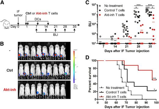 Figure 5. Superior antitumor effect of Akt-inhibited MiHA-specific CD8+ T cells. (A) NSG mice received an intrafemural (IF) injection with UM9 multiple myeloma cells expressing luciferase. On day 1, mice were treated with 50 000 MACS-enriched MiHA-specific CD8+ T cells after culture with (17% CCR7+CD45RO+; n = 8) or without Akt inhibitor (12% CCR7+CD45RO+; n = 9). To support engraftment, CD4+ T cells (0.3 × 106) were co-infused, resulting in a CD4:MiHA-specific T-cell ratio of 1:6. Mice were vaccinated once per week with DCs and received IL-15 every 2 to 3 days. Nontreated mice (n = 8) received only IL-15. From day 7 to day 35, bioluminescence imaging (BLI) was performed once per week to determine the tumor load, after which mice were monitored for survival. (B) BLI images on day 35 and (C) quantified signal corrected for background of the tumor-injected femur over time. Statistical analysis was performed by using a 2-way ANOVA followed by a Bonferroni post hoc test. (D) Survival of mice was analyzed according to a Mantel-Cox test; significance shown compared with no treatment. *P < .05; ***P < .001.