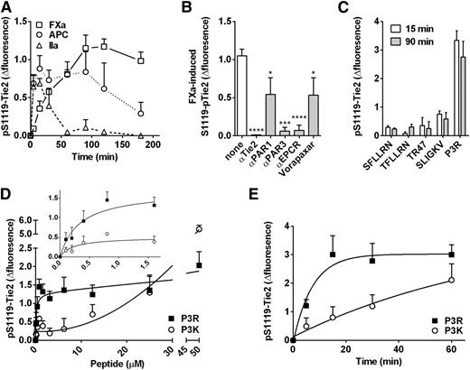 Figure 6. FXa induces PAR3-dependent phosphorylation of Tie2 in endothelial cells. Activation of Tie2 was determined by analysis of Tie2 phosphorylation at Ser1119-Tie2. (A) Time-dependent Tie2 phosphorylation by FXa (50 nM), APC (50 nM), and thrombin (IIa) (2 nM). (B) FXa (50 nM) induced phosphorylation of Tie2 at 90 minutes after pretreatment with antibodies against Tie2 (anti-hTie2; 25 µg/mL), PAR1 (WEDE15/ATAP; 25 µg/mL), PAR3 (Moab19b; 25 µg/mL), EPCR (rcr-252; 25 µg/mL), or an inhibitor against PAR1 (vorapaxar; 1 µM). (C) Induction of Tie2 activation at 15 and 90 minutes by the tethered-ligand peptides of PAR1, PAR2, and PAR3: TRAP (SFLLRN or TFLLRN), TR47 (PAR1 residues 47-66), SLIGKV (PAR2), and P3R (42-65). (D) Concentration-dependent Tie2 phosphorylation by P3R (42-65) and P3K (39-65). Insert shows an expanded x-axis between 0 and 1.5 µM peptide. (E) Time-dependent phosphorylation of Tie2 by P3R (42-65) (50 µM) and P3K (39-65) (50 µM). (A-E) Data points represent the mean ± SEM of at least 3 independent experiments with 3 replicates per experiment. *P < .05; **P < .01; ***P < .001; ****P < .0001.