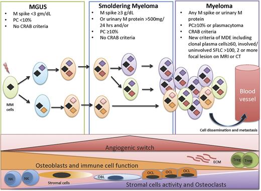 Figure 1. Clonal evolution in a permissive microenvironment. Progression from MGUS to SMM to symptomatic MM involves clonal evolution and heterogeneity, which is not only cell autonomous but also dependent on the interactions of the tumor cells with the bone marrow microenvironment. This includes immune cells such as T-regulatory cells (Tregs), myeloid derived suppressor cells (MDSCs), natural killer (NK) cells, osteoclasts, osteoblasts, angiogenesis, and MSCs.