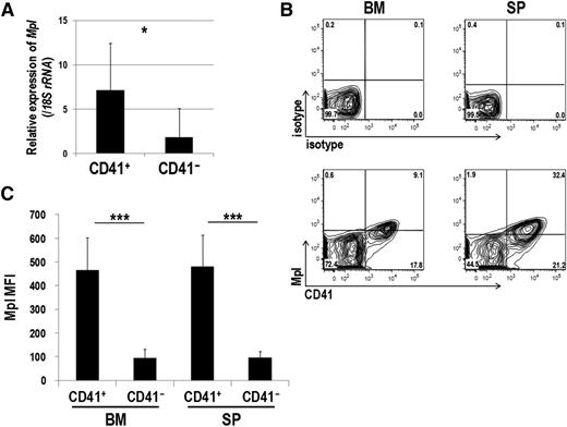 Figure 4. Mpl is predominantly expressed in CD41+ Evi1 leukemia cells. (A) Mpl expression was measured by quantitative real-time polymerase chain reaction in CD41+ and CD41− BM cells of Evi1 leukemia mice. BM-MNCs were harvested from 5 independent mice, and CD41+ and CD41− cells were sorted. Expression levels relative to normal c-kit+ BM cells are presented. Error bars indicate SD (*P < .05, Student t test). (B-C) FACS analysis of CD41 and Mpl expression in BM- and SP-MNCs from Evi1 leukemia mice. (B) Cells were stained with PE-conjugated anti-CD41 and Alexa Fluor 647–labeled anti-mouse Mpl antibodies. Expression profiles were analyzed for GFP+ cells. (C) Mean fluorescence intensity (MFI) of Mpl was quantified in CD41+ and CD41− cells. Error bars indicate SD (n = 8; ***P < .001, Student t test).
