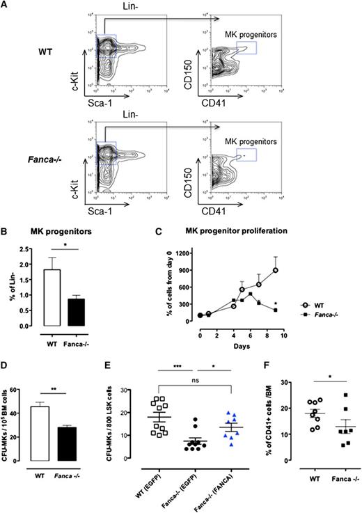 Figure 2. Proliferation and differentiation are altered in Fanca−/− MK progenitors. (A) Representative flow cytometry plots showing the gating strategy for MK progenitors. (B) Percentage of MK progenitors in Lin− cells of the BM of Fanca−/− and WT mice. (C) Proliferation curve (WT, n = 3; Fanca−/−, n = 4; results presented as means ± SEM, *P < .05, Student t test). (D) Number of MK-CFU colonies scored at day 6 of MegaCult-C from WT and Fanca−/− BM. (E) Number of MK-CFU scored at day 7 of MegaCult-C from LSKs transduced with an EGFP expressing vector (WT EGFP, Fanca−/− EGFP) or FANCA-EGFP vector (Fanca−/− FANCA) (n = 5 mice per group WT EGFP and Fanca−/− EGFP; n = 4 per group Fanca−/− FANCA, ***P < .001, *P < .05, Student t test). (F) Percentages of MKs obtained from nonfractionated nuclear WT and Fanca−/− BM cells after 3 days of culture with TPO (50 ng/mL, *P < .05, Student t test).