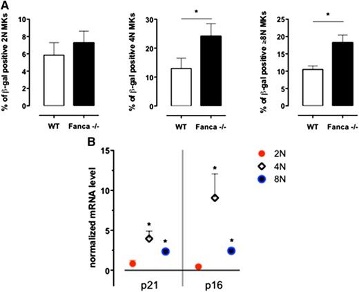 Figure 4. Senescence is increased in Fanca−/− MKs. (A) Frequency of SA-β-galactosidase-positive 2N, 4N, and ≥8N MKs per mouse evaluated in a minimum of 200 cells sorted at day 3 of differentiation in vitro (n = 3, *P < .05, Student t test). (B) Quantitative reverse transcriptase-polymerase chain reaction analysis of p21 and p16 expression in sorted 2N, 4N, and ≥8N Fanca−/− MKs. The results are calculated relative to the WT and normalized against the level of Gapdh (n = 3 each from a pool of 2 mice).