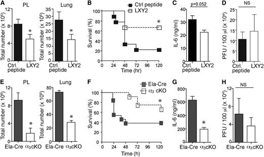 Figure 3. Blocking and conditional deletion of α3β1 inhibits neutrophil migration and improves survival. (A) Total cells were isolated from PL and lungs of septic mice (8 hours after CLP) injected either with LXY2 or control peptide (88 μg or 100 nmole/dose, IV) 2 hours after CLP. Bar graphs show total number of neutrophils (Gr1/Ly6GhighCD11bhigh cells), 5 mice/group. (B) CLP surgery was performed and either LXY2 or control peptide (100 nmole/dose) was injected post-CLP, as shown in supplemental Figure 3C. Mouse survival was analyzed using Kaplan-Meier log-rank test (9/group). (C) Serum concentrations of IL-6 (8 hours after CLP) from LXY2- and control peptide–treated mice were measured by sandwich ELISA. Values are expressed in ng/mL (5 mice/group). (D) Bacterial loads from PL of LXY2- and control peptide–treated mice (5/group). Diluted samples were streaked on tryptone soya agar blood agar and colonies counted after 24 hours’ incubation at 37°C. (E) Total cells were isolated from PL and lungs of α3 cKO mice (Itga3 flox/flox; Ela-Cre) and littermate Ela-Cre controls (Itga3 wt/wt; Ela-Cre) 8 hours after CLP. Neutrophils were gated as described earlier (4 mice/group). (F) CLP surgery was performed and survival analyzed using Kaplan-Meier log-rank test to compare α3 cKO and Ela-Cre control mice (12/group). (G) Serum levels of IL-6 (8 hours after CLP, 4 mice/group). (H) Bacterial loads in PL of α3 cKO and Ela-Cre mice 8 hours after CLP (4 mice/group). (A,C,D,E,G,H) Data are expressed as mean ± SEM. *P < .05 (Mann-Whitney test).