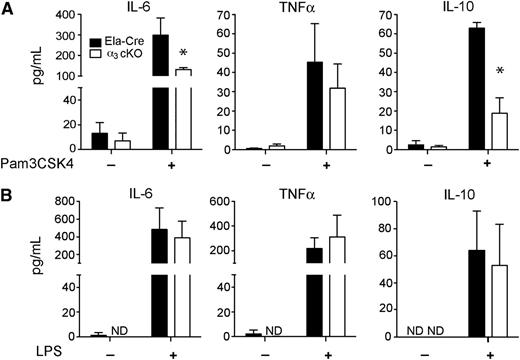 Figure 5. Integrin α3β1 regulates TLR2-, but not TLR4-induced cytokine responses. (A) ELISA of IL-6, TNF-α, and IL-10 in supernatants of neutrophils, isolated by negative selection, from BM of α3 cKO (Itga3flox/flox; Ela-Cre) mice (white bars) and control Ela-Cre (Itga3wt/wt; Ela-Cre) mice (black bars). Cells (106) were stimulated for 24 hours with Pam3CSK4 (100 ng/mL) and supernatants tested in duplicate. The results from 3 independent experiments are expressed as mean ± SD. *P < .05 (Mann-Whitney test). (B) ELISA of IL-6, TNF-α, and IL-10 in supernatants of neutrophils, isolated by negative selection, from BM of α3 cKO (white bars) and control (black bars) mice. Cells (106 cells/300 μL) were stimulated for 24 hours with ultrapure LPS (100 ng/mL) and supernatants tested in duplicate. The results from 3 independent experiments are expressed as mean ± SD. *P < .05 (Mann-Whitney test).