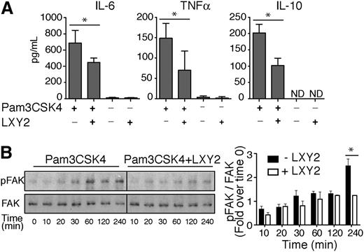 Figure 6. Integrin α3β1-binding peptide LXY2 differentially regulates cytokine secretion due to TLR2 and TLR4 stimulation. (A) ELISA of IL-6, TNF-α, and IL-10 in supernatants of neutrophils, isolated by negative selection, from BM of wild-type C57Bl/6 mice. Cells (106 cells/300 μL) were incubated for 24 hours with Pam3CSK4 (100 ng/mL) with and without α3β1-binding peptide LXY2 (1 μM). Supernatants were tested in duplicate or triplicate. The results from 3 independent experiments are expressed as mean ± SD. *P < .05 (Mann-Whitney test). (B) Left: Representative western blot images of FAK phosphorylation kinetics in neutrophils (600 000 cells/100 μL) from C57BL/6 mice after Pam3CSK4 (10 μg/mL) stimulation ± LXY2 (100 μM) over indicated periods. Total cell lysates were analyzed by western blotting to determine the extent of FAK phosphorylation at Tyr397. Right: Densitometric analysis of FAK phosphorylation in WT neutrophils from C57BL/6 mice. Levels of phospho-FAK were normalized to total FAK at each time point and expressed as mean fold increase compared with control (time = 0 minutes). Data are expressed as mean ± SEM from 3 independent experiments. *P < .05 (2-way repeated measures ANOVA with Bonferroni posttest).