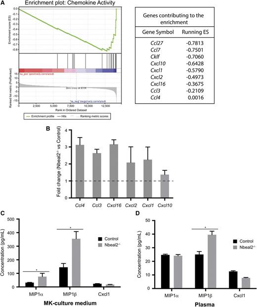 Figure 6. Gene expression array in culture-derived MKs. (A) Enrichment of the “chemokine activity” gene set in Nbeal2−/− MKs with the genes contributing to this enrichment. (B) Fold change of the 6 most significant genes identified in (A) in Nbeal2−/− vs control MKs generated by qPCR using different samples as those used in the array (n = 3). (C) Plasma levels of the chemokines MIP-1α (Ccl3), MIP-1β (Ccl4), and Cxcl1 in MK culture supernatant. (D) Levels of these chemokines in plasma of control and Nbeal2−/− mice (n = 5). Bars represent mean ± standard error of the mean. *P < .05.