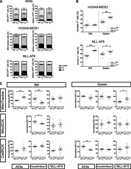 Figure 7. HIF-1α status does not generally influence cell cycle or metabolism of leukemic cells, but its deletion increases apoptosis. (A) Cell-cycle analysis of the leukemic cells (GFP+ or myeloid, depending on the model) from the different indicated organs of diseased mice from 2 independent experiments (AE9a: n = 7; HoxA9-Meis1: n = 11; MLL-AF9: n = 11). (B) Apoptosis analysis of the leukemic cells (GFP+ or myeloid, depending on the model) from the different indicated organs of diseased mice (HoxA9-Meis1: n = 8; MLL-AF9: n = 7). (C) Analysis of mitochondrial activity, mitochondrial ROS, and total ROS. Median fluorescence intensity (MFI) of MitoTracker-stained (n = 7-11), MitoSOX-stained (n = 7-8), or CellROX-stained (n = 7-11) leukemic cells (GFP+ cells in AE9a and MLL-AF9 models and myeloid cells in HOXA9-MEIS1 model) from diseased secondary recipients in BM and spleen was normalized to the mean control values. Plots represent mean ± SEM. Two-tailed Student t test was used to assess statistical significance. *P < .05, **P < .01.