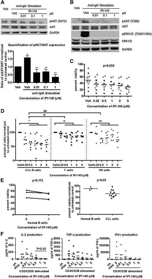 Figure 1. IPI-145 inhibits constitutive PI3K signaling, induces selective cytotoxicity in CLL cells, and does not cause direct cytotoxicity toward other normal immune cells but alters cytokine production. (A) B cells were enriched from peripheral blood of patients with CLL and stimulated with plate-bound anti-IgM (n = 4 of 6) and incubated with or without IPI-145 (0.01 to 1 μM) for 1 hour. Cell lysates were immunoblotted for pAKTS473, total AKT, and GAPDH. (Upper) Representative blots from 4 independent experiments. (Lower) Quantification results. All data were normalized to unstimulated control. Stimulated samples from 4 patients were included for statistical analysis. CLL cells were significantly stimulated compared with untreated control *P < .005. After anti-IgM stimulation, pAKTS473/AKT were significantly inhibited by IPI-145 compared with vehicle (veh)-treated control **P < .05. Paired t tests were used. (B) B cells from patients with CLL (n = 4-6) were stimulated with plate-bound anti-IgM and incubated with or without IPI-145 (0.01 to 1 μM) for 1 hour. Cell lysates were immunoblotted for pAKTT308, total AKT, pERK1/2T202/Y204, total ERK1/2, and GAPDH. The representative blots are from 4 (pAKTT308, total AKT) and 6 (pERK1/2T202/Y204, total ERK1/2) independent experiments. (C) B cells from patients with CLL (n = 12) were incubated with or without IPI-145 (0.25 to 5 μM) for 24 to 72 hours. Viability was determined by annexin/PI flow cytometry. A dose-dependent graph from the 48-hour time point is shown on the left (P = .005 for dose-dependent). Each icon represents individual patients. Horizontal bars represent averages. IPI-145 causes significant linear and quadratic cytotoxicity over both time and dose. P < .01 for statistical analysis for linear trend for time. (D) Whole blood from CLL patients (n = 7) was incubated with IPI-145 (0.25 to 5 μM) for 48 hours. Absolute count of live CD19+ B cells, CD3+ T cells, and CD56+ NK cells were measured by flow cytometry. Different icons represent different cell types. For all cell types, there was no statistically significant killing at 0.25 μM. Average viability of CD19+ B cells, CD3+ T cells, and CD56+ NK cells with 0.5 to 5 μM IPI-145 is significant lower than untreated. *, **, ***P < .001. CD19+ cytotoxicity to CD19+ B cells is significantly more than CD3+ T cells (#P < .001) or CD56+ NK cells (##P = .001) at 0.5 to 5 μM. (E) CD19+ B cells (n = 3) from healthy volunteers were incubated with or without IPI-145 (1 μM) for 48 hours. Viability was determined by annexin/PI flow cytometry and was normalized to time-matched untreated controls. Horizontal bars represent averages. IPI-145 caused significantly more cytotoxicity to CLL cells vs normal B cells *P < .05. (F) CD3+ T cells (n = 4-7) from healthy volunteers were stimulated with plate-bound anti-CD3 and soluble anti-CD28 and incubated with or without IPI-145 (0.01 to 5 μM). Cytokine levels were measured by BD Cytometric Bead Array. 0.5 to 5 μM IPI-145 significantly inhibited IL-2 and a trend for inhibition for both IFN-γ and TNF-α. *P < .05.
