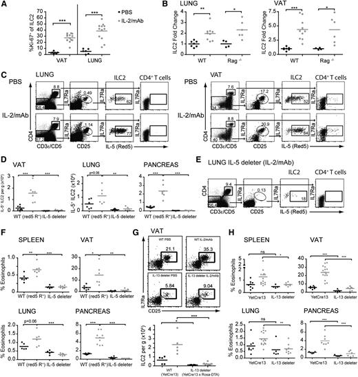 Figure 2. IL-5/13–producing ILC2 induce eosinophilia in response to IL-2 therapy. (A) Quantitation by flow cytometry of ILC2 Ki-67 expression with and without IL-2 treatment. (B) Quantitation of total ILC2 from the indicated strains and tissues, expressed as a fold change from phosphate-buffered saline (PBS)-treated control animals. (C) Fluorescence-activated cell sorter gating of CD4+ T cells and ILC2 (lin− CD127+ CD25+) and expression of IL-5 (Red5) in the strains and tissues indicated after PBS or IL-2 treatment. (D) Quantitation of IL-5+ ILC2 in IL-5 reporter (red5 R+) and IL-5–deleter animals in VAT, lung, and pancreas. (E) Fluorescence-activated cell sorter gating as in (C) for the lung of IL-5–deleter mice treated with IL-2/anti–IL-2 mAb complex. (F) Quantitation of eosinophils in Red5 reporter heterozygous (Red5 R+) or IL-5–deleter animals. (G) Representative fluorescence-activated cell sorter gating (top panels) and quantitation (bottom panel) of VAT ILC2 in control IL-13 reporter animals (YetCre13) or IL-13–deleter (YetCre13 × ROSA-DTA) animals after IL-2 complexes. (H) Quantitation of eosinophils in IL-13 reporter controls (YetCre13) or IL-13–deleter animals. Black line (PBS), gray line (IL-2/mAb). Mean values ± SEM. All data were analyzed by comparison of means using unpaired 2-tailed Student t tests. Data are representative of 3 or more experiments or pooled from 2 to 3 experiments. ns, not significant. *P < .05; **P < .01; ***P < .001.