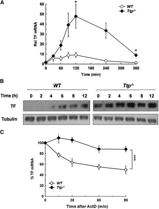 Figure 2. Deficiency in TTP results in overexpression of TF mRNA due to mRNA stabilization. (A) WT and Ttp−/− murine BMDM were stimulated with LPS (1 µg/mL) for the durations shown. TF mRNA levels were then determined at each time point and normalized to levels in unstimulated WT macrophages (n = 3 experiments). (B) WT and Ttp−/− BMDM were stimulated with LPS (1 µg/mL) for the durations shown, after which western blotting was used for cell lysates. The blots shown are representative of 5 experiments and are all from the same gel and are processed simultaneously, with WT and Ttp−/− lanes separated for clarity. (C) WT and Ttp−/− macrophages were stimulated with LPS (1 µg/mL) for 2 hours, after which actinomycin D (5 µg/mL) was added and TF mRNA decay was assessed. All data are expressed as mean ± SEM and analyzed using a 2-tailed Student t test. NS, not significant. *P < .05; ***P < .001. ActD, actinomycin D; Rel, relative.