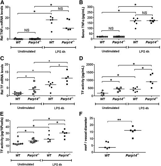 Figure 7. TF and thrombogenicity are upregulated in vivo in PARP-14–deficient mice, but TNFα expression is not affected. (A-E) WT and Parp14−/− mice were studied unstimulated or 4 hours after intraperitoneal injection of LPS (5 μg) (n = 6-8 mice per group). (A) TNFα and (C) TF mRNA in lung tissue were measured by quantitative RT-PCR. (B) Serum TNFα was measured by enzyme-linked immunosorbent assay. (D-E) TF activity was measured in lung tissue and peripheral blood leukocytes using a turbimetric clotting assay (n = 6-8 mice per group). (F) Comparison by intravital microscopy of thrombus formation in cremaster arterioles. Each point represents average maximal thrombus volume normalized to vessel diameter for each individual mouse (n = 5 mice per group). All bars are medians. *P < .05; **P < .01. h, hours; NS, not significant using a 2-tailed Mann-Whitney U test.