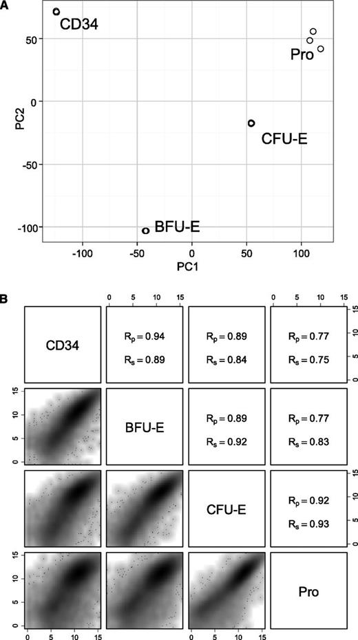 Figure 3. PCA of expressed genes and pairwise comparisons of different stages of early human erythroid progenitors. (A) PCA plot of 3 biological replicates at 4 different stages of early erythroid differentiation. (B) Pairwise comparison of the gene expression at different stages of early erythroid progenitors. (Upper right) Pearson and Spearman coefficient values. (Lower left) Scatter density plot. PC, principle component; Rp, Pearson product-moment correlation coefficient; Rs, Spearman rank correlation coefficient.