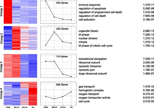 Figure 5. Clusters of gene expression across the different stages of early erythriod differentiation. Differentially expressed genes between adjacent stages with log fold >2 and fpkm >10 were clustered into 16 groups by the process of self-organized maps. The 4 major groups are illustrated with heat maps of the gene members of the cluster (left) and the expression profile is shown graphically (middle). GO analysis of the genes within the cluster identified the top 5 GO terms and their corresponding P-values (right).