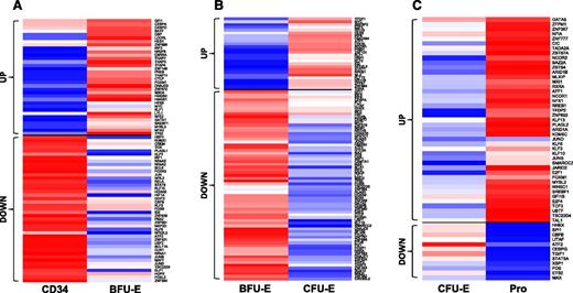 Figure 6. Pairwise comparison of transcription factor genes in human early stage erythroid progenitors. Transcription factor genes with log twofold >1 and fpkm >10 in at least 1 stage for CD34 to BFU-E (A), BFU-E to CFU-E (B), and the CFU-E to Pro (C) transitions are shown. In each row, the red, white, and blue colors represent the expression level (from high to low) for each gene.