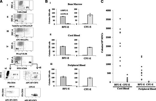 Figure 7. Isolation of and quantification of BFU-E and CFU-E cells from primary samples. (A) Representative plot of a combination of surface markers that isolates BFU-E and CFU-E populations from primary human BM samples. (i) Plot of SSC vs CD45 expression of all cells being analyzed; (ii) SSC vs CD3, CD4, CD14, CD19, and 7AAD of CD45+ population (P1), the resulting negative population designated as P2; (iii) SSC vs CD41 and GPA of the P2 population, namely P3; (iv) SSC vs IL3R expression of the P3 population; (v) SSC vs CD36 expression of IL3R− population, resulting in CD36− and CD36+ populations; (vi, top) CD34 vs SSC of the CD36− population revealed CD34+, which gave rise to BFU-E colonies; (vi, bottom) CD34 vs CD71 of BFU-E population revealed that BFU-E cells were CD34+CD71low; (vii, top) CD71 vs SSC of the CD36+ cells revealed CD71+ population, which gave rise to CFU-E colonies; and (vii, bottom) CD34 vs CD71 of CFU-E population revealed that CFU-E cells are CD34−CD71hi. (B) Colony forming ability of the sorted BFU-E and CFU-E cells from BM (i), cord blood (ii), and peripheral blood (iii). (C) Quantitative analysis of BFU-E and CFU-E populations in cord blood and peripheral blood.