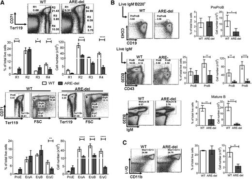 Figure 4. Constant exposure to IFN-γ interrupts RBC and B-cell differentiations. Total BM cells were stained with fluorochrome-conjugated antibodies for lineage differentiation analysis. (A) Different developmental stages of RBCs were gated according to the expression levels of Ter119 and CD71 (R1: proerythroblasts, Ter119medCD71high; R2: early basophilic erythroblasts, Ter119highCD71high; R3: polychromatophilic erythroblasts, Ter119highCD71med; R4: orthochromatophilic erythroblasts, Ter119highCD71lo). ProE cells are gated on the CD71hi and Ter119low population. Ter119hi population was then further defined on the basis of the expression levels of CD71 and cell size into EryA (CD71highFSChigh), EryB (CD71highFSClow), and EryC (CD71lowFSClow). (B) Live IgM–B220+ population in BM was measured by using CD43 and CD19 to define PreProB (CD43+CD19–). PreB (B200+CD43–) and ProB (B220+CD43+) populations were gated on live IgM– population in BM using CD43 and B220. Mature B cells were gated on a live IgM+B220+ population. (C) Myeloid cells in BM were gated on the Mac1+CD11b+ population. Dot plots are representative of 1 set of multiple experiments. Bar graphs show the percentage of total live BM cells and the total cell numbers of each cell type (n = 5). Similar results were obtained from 4 different experiments. Results are expressed as mean ± SD. *P < .05; **P < .01; ***P < .001; ****P < .0001.