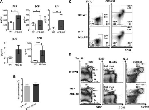 Figure 5. The AA phenotype in ARE-del mice is not a result of a cell nonautonomous effect of IFN-γ on the BM microenvironment. (A) The function of stromal cells in ARE-del mice was determined by the serum levels of Flt3L, SCF, IL-3, IL-6, and EPO. The concentrations of cytokines were measured by using an enzyme-linked immunosorbent assay and shown in bar graphs (n = 6). BM phenotypes in WT>WT and ARE-del >WT mice were analyzed 8 weeks after reconstitution. (B) The bar graph shows BM cell numbers of chimeric mice (n = 6). (C) HSPC composition was analyzed on lineage-negative BM cells from WT>WT and WT>ARE-del mice by using flow cytometry. Density plots are representative of HSPC gating from 1 set of 3 experiments. (D) Total BM cells from WT>WT and WT>ARE-del mice were stained with fluorochrome-conjugated antibodies for lineage differentiation analysis. Dot plots are representative of 1 set of 3 experiments. Similar results were obtained from 3 different experiments. Results are expressed as mean ± SD. *P < .05; **P < .01; ****P < .0001.