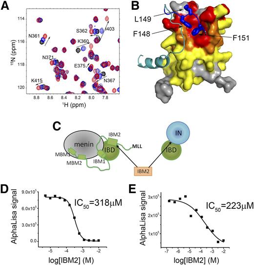 Figure 4. IBM2 peptide binds to IBD and disrupts menin-MLL-IBD and IN-IBD interactions. (A) HSQC spectrum of 70 µM IBD (black) titrated with 280 μM (blue) and 1 mM (red) IBM2 peptide. (B) Mapping of chemical shift perturbations onto the structure of MLL-IBD complex upon binding of IBM2 peptide. Color coding represents magnitude of chemical shift perturbations: Δσ < 0.025 ppm (yellow), 0.025 < Δσ < 0.08 ppm (orange), and Δσ > 0.08 ppm (red). The MLL fragment is shown in cyan, and the key residues in IBM2 motif are blue. (C) Schematics rationalizing the use of IBM2 peptide as competitor of menin-MLL-IBD and IN-IBD. The IC50 values for competition experiments using IBM2 with menin-MLL-IBD and IN-IBD are shown, respectively, in panels D and E.