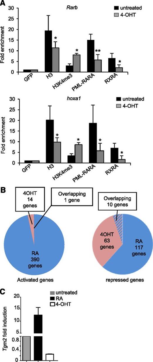 Figure 4. RXR loss induces PML/RARA detachment from target genes. (A) APL mice were treated or not for 48 hours ex vivo with 4-OHT. Immunoprecipitated DNA with the indicated antibodies was analyzed by qPCR as indicated. Error bars represent standard deviations of 3 independent biological replicates, and significance was assessed using Student t test. *P < .05; **P < .01. (B) Comparison of gene expression activation (left; 1.7-fold up) or repression (right; twofold down) after 16 hours of ex vivo treatment with 4-OHT (red) or RA (blue). See supplementary Figure 1 for primary data. (C) Tgm2 gene expression after 16 hours of ex vivo treatment with 4-OHT or RA (2 biological replicates).
