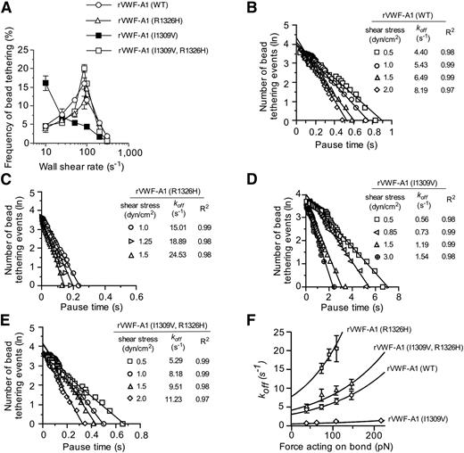 Figure 2. Kinetics of tether bond formation and dissociation. (A) Frequency of transient adhesive interactions between microspheres coated with recombinant VWF-A1 protein and surface-immobilized mouse platelets (WSRs of 10 s−1 to 300 s−1). (B-E) Representative graphs depicting the distribution of pause times for more than 30 individual transiently tethered VWF-A1–coated microspheres at the indicated wall shear stresses. The dissociation rate constant (koff) is the negative slope of the linear regression through the experimental data. (F) Effect of force on the GPIbα–VWF-A1 tether bond as a function of koff. Tethering frequency and estimation of koff values for VWF-A1–coated microspheres transiently interacting with surface-immobilized platelets were determined by recording digital images with a Nikon ×10 plan or 60× DIC objective (oil immersion) at 30 fps or 235 fps, respectively (Speed Vision Technologies, San Diego, CA). Data represent the mean ± SD. pN, piconewtons.