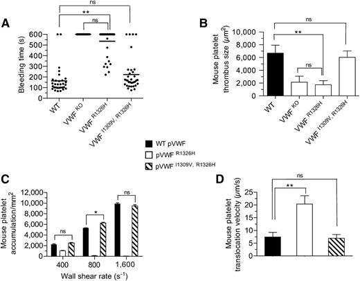 Figure 3. Hemostatic and thrombotic properties of plasma VWFI1309V, R1326H. (A) Tail bleeding times for WT and mutant VWF-A1 mice. Each point represents 1 individual animal; lines show the mean of each group. (B) Thrombus formation in laser-injured arterioles of WT and VWF mutant animals (n = 7 mice per genotype; 1 arteriole per mouse). Platelet-vessel wall interactions were visualized through a ×20 water-immersion objective (Olympus LUMPlanFl, 0.5 NA) using a Zeiss Axiotech Vario microscope equipped with a Yokogawa CSU-22 spinning disk confocal scanner, iXon EM camera, and 561 nm laser line to detect rhodamine-labeled mouse platelets (Revolution XD, Andor Technology, South Windsor, CT). The extent of thrombus formation was assessed for 2 minutes postinjury and the area (µm2) of coverage determined by off-line analysis (Image IQ, Andor Technology and Image-Pro Plus). (C-D) Accumulation (C) and translocation velocities (WSR of 1,600 s−1) (D) of mouse platelets on surface-immobilized WT or mutant plasma VWF at the indicated WSRs (n = 3 separate experiments). Images were obtained using a CCD camera and analyzed using Image-Pro Plus. Data are the mean ± SD. *P < .05 and **P < .0001 relative to control. ns, not significant (P > .05).
