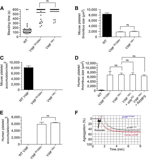 Figure 5. Hemostatic and thrombotic properties of plasma VWFHA1. (A) Tail bleeding times for WT, VWFR1326H, and VWFHA1 mice. Each point represents 1 individual animal; lines show the mean of each group. (B) Thrombus formation in laser-injured arterioles of WT and VWF mutant mice (n = 7 mice per genotype; 1 arteriole per animal). Fluorescent images were obtained using a 20× water-immersion objective, a Yokogawa CSU-22 spinning disk confocal scanner, and a 561 nm laser line to detect rhodamine-labeled mouse platelets. The extent of thrombus formation was assessed for 2 minutes postinjury and its area determined by off-line analysis (Image IQ and Image-Pro Plus). (C) Accumulation of mouse platelets on surface-immobilized WT or mutant plasma VWF at a WSR of 1,600 s−1 (n = 3). Images were obtained using a CCD camera and analyzed using Image-Pro Plus. (D) Human platelet-mediated thrombus formation in laser injured arterioles of WT or VWF mutant animals (n = 7 mice per genotype; 1 arteriole per animal). A 488 nm laser line was used to detect BCECF-labeled human platelets. Rabbit anti-mouse platelet serum (RAMPS) was used to deplete mouse platelets. (E) Accumulation of human platelets on surface-immobilized WT or mutant plasma VWF at a WSR of 1,600 s−1 (n = 3). (F) Representative plot depicting the extent of ristocetin-induced aggregation of lyophilized human platelets in plasma from human volunteers or VWF mutant animals (n = 2 experiments performed in duplicate). Data are the mean ± SD. ns, not significant (P > .05).