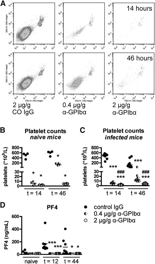 Figure 1. Infusion of α-GpIbα induces dose-dependent platelet depletion. PCs were determined in citrated whole blood by flow cytometry. (A) Log scale scatter plots of CD61-positive events in naive mice infused with 2 μg/g α-GpIbα, 0.4 μg/g α-GpIbα, or control IgG. PCs depicted as scatter dot plots with the median 14 and 46 hours after IV administration of 2 μg/g (open dots), 0.4 μg/g α-GpIbα (half-open dots), or control IgG (closed dots) in naive mice (B) and in Klebsiella-infected mice (C). (D) PF4 was measured in naive or in infected control and platelet-depleted mouse plasma. Data are expressed as scatter dot plots with the median. n = 4 (naive) mice and n = 8 (infected) mice per group. *P < .05 and ***P < .0005 vs control IgG; ###P < .0005 vs 0.4 μg/g α-GpIbα.