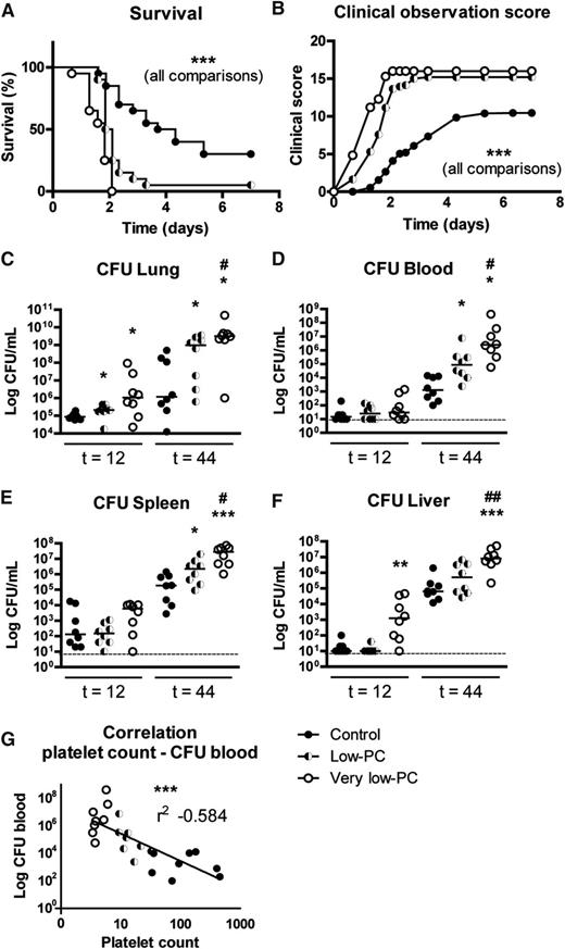 Figure 2. Thrombocytopenia causes PC-dependent impaired survival and enhanced bacterial growth during Klebsiella-induced pneumonia. Survival (A) and clinical observation score (B) of very low-PC (open dots), low-PC (half-open dots), and control (closed dots) mice infected with K pneumoniae via the airways. For bacterial quantification, very low-PC (open dots), low-PC (half-open dots), and control (closed dots) mice were again infected with K pneumoniae via the airways and euthanized at the indicated time points. Bacterial counts were determined in lungs (C), blood (D), spleen (E), and liver (F). (G) Correlation of platelet counts and Klebsiella CFU recovered from blood 44 hours after infection. Data are expressed as scatter dot plots with the median. n = 20 mice per group in the survival experiment and n = 8 mice per group for bacterial quantification. ***P < .0005 for all comparisons in survival and clinical observation score graphs; *P < .05, **P < .005, and ***P < .0005 vs control; #P < .05 and ##P < .005 vs low-PC.