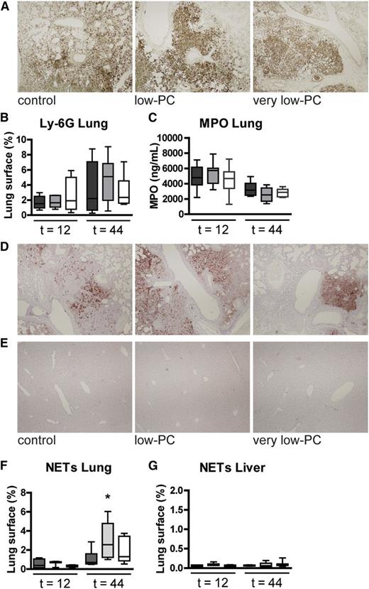Figure 4. Platelets are not required for lung neutrophil accumulation or NET formation in the lungs. Neutrophil accumulation in lung tissue was measured by quantification of Ly-6G stainings (A-B) and MPO measured in lung homogenates (C). NETs were stained using antibody to H3Cit for lung (D) and liver (E) and then quantified (F-G). Original magnification ×4 for panels A, D, and E; H&E stain. Ly-6G and NET positivity and total lung surface area were measured using Image J (National Institutes of Health, Bethesda, MD; http://rsb.info.nih.gov/ij), with the amount of Ly-6G or NET positivity expressed as a percentage of the total surface area. Data are expressed as box-and-whisker plots depicting the smallest observation, lower quartile, median, upper quartile, and largest observation. n = 8 mice per group. *P < .05.