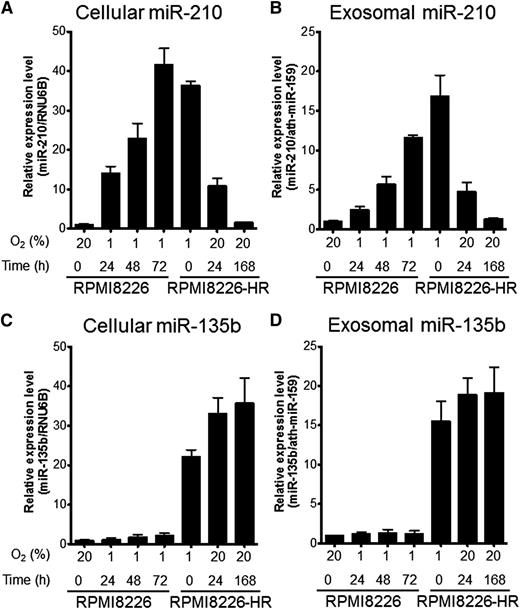 Figure 4. Time course of miR-210 and miR-135b expression under hypoxic conditions. Parental cells (RPMI8226) and HR-MM cells (RPMI8226-HR) were cultured under normoxic conditions (20% O2) or hypoxic conditions (1% O2) for the indicated times (0, 24, 48, or 72 hours). Cellular and exosomal miRNA expression levels were quantified by quantitative reverse-transcription polymerase chain reaction: (A) cellular miR-210, (B) exosomal miR-210, (C) cellular miR-135b, and (D) exosomal miR-135b. RNU6B and ath-miR-159 were used as the invariant control for cell and exosome, respectively. Values are means ± SD of 3 independent experiments, with each performed on different days.