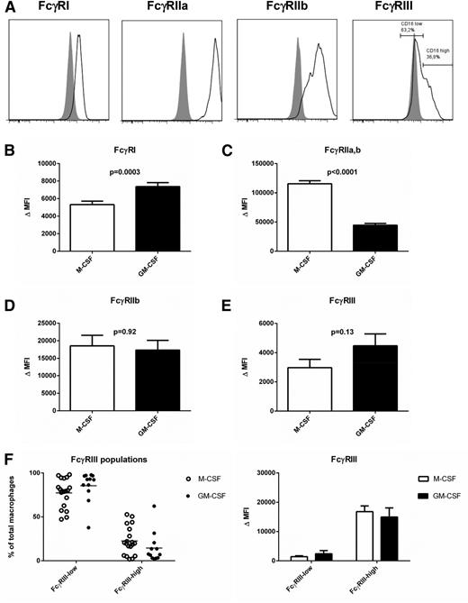 Figure 1. FcγR expression on monocyte-derived macrophages. (A) Histograms showing expression levels of different FcγRs in monocyte-derived macrophages cultured for 9 days with M-CSF. Gray shading: relevant isotype control (B-E) comparison of expression levels of FcγRI, FcγRIIa,b, FcγRIIb, and FcγRIII between M-CSF and GM-CSF macrophages. Data represent the mean of experiments with macrophages from 34 individuals, or 22 independent experiments in the case of FcγRII (including only individuals without an FCGR2C-open reading frame). Some individuals were measured twice; means of the measurements were used for these individuals. Error bars represent standard error of the mean, statistics with Mann-Whitney test. (F) Percentages of FcγRIII-low and FcγRIII-high macrophages (left, individual experiments are shown) and comparison of the expression levels of the low and high populations (right, data represent the mean and standard error of the mean of at least 12 individuals).