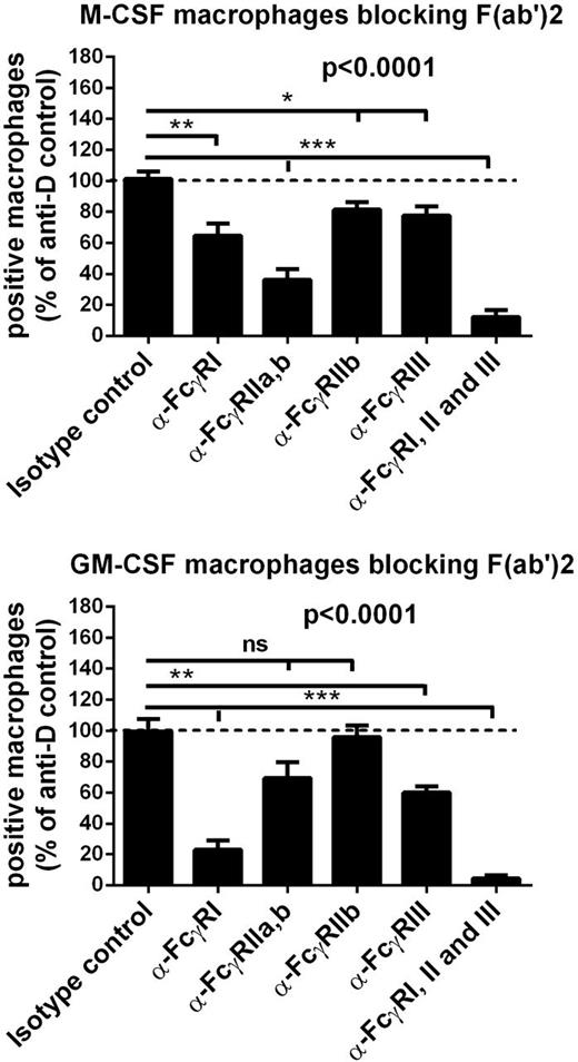 Figure 3. M-CSF macrophages phagocytose mainly through FcγRIIa, whereas GM-CSF macrophages phagocytose mainly through FcγRI. Effect of FcγR receptor blocking F(ab′)2 (α-FcγRI, α-FcγRIIa,b, α-FcγRIII) or Fab (α-FcγRIIb) fragments on the phagocytosis of anti-RhD IgG-opsonized erythrocytes. Data are normalized against phagocytosis of unblocked macrophages. For experiments with Fab α-FcγRIIb individuals with an FCGR2C-open reading frame are excluded. Data represent means and standard error of the mean from 5 to 12 independent experiments. P values indicate results of 1-way ANOVA; subsequent unpaired t-tests were performed with results depicted as follows: *P < .05, **P < .01, ***P < .001 (Bonferroni-corrected P values).